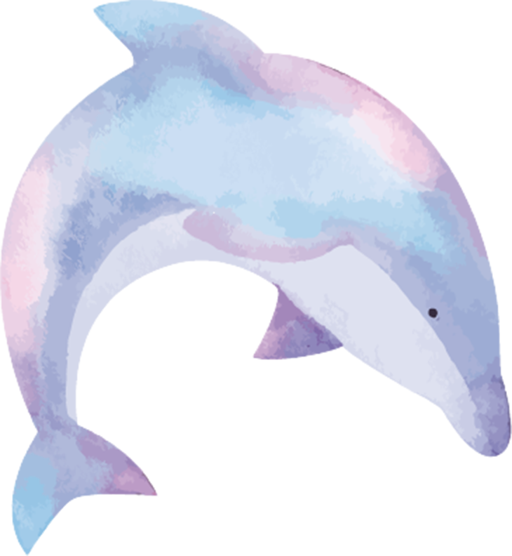 イルカ