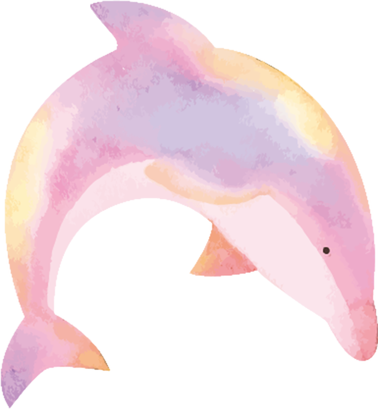 イルカ